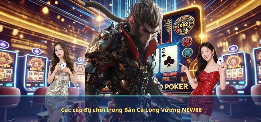Các cấp độ chơi trong Bắn Cá Long Vương NEW88