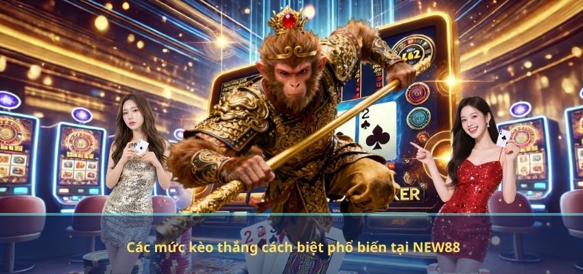 Các mức kèo thắng cách biệt phổ biến tại NEW88