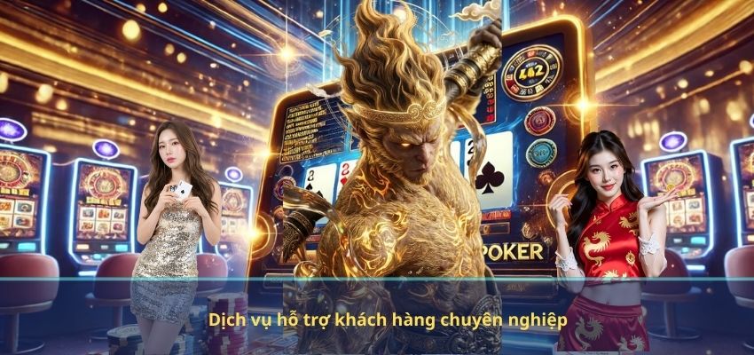 Dịch vụ hỗ trợ khách hàng chuyên nghiệp