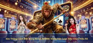 Kèo Thắng Cách Biệt Bóng Rổ tại NEW88: Đừng Đặt Cược Nếu Chưa Hiểu Rõ