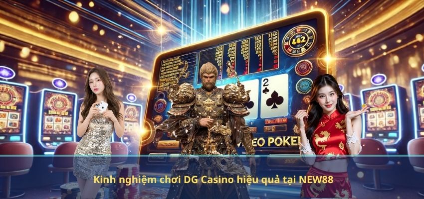 Kinh nghiệm chơi DG Casino hiệu quả tại NEW88