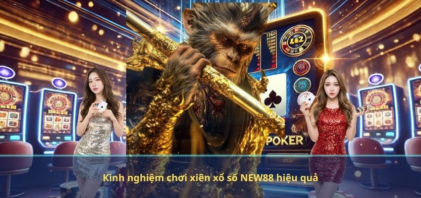 Kinh nghiệm chơi xiên xổ số NEW88 hiệu quả