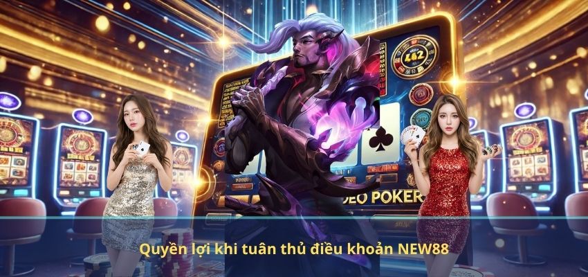 Quyền lợi khi tuân thủ điều khoản NEW88