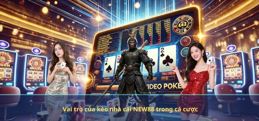 Vai trò của kèo nhà cái NEW88 trong cá cược