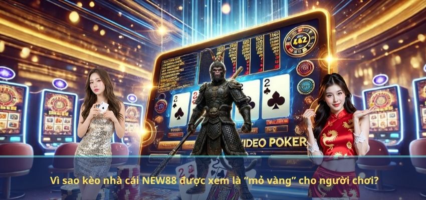 Vì sao kèo nhà cái NEW88 được xem là “mỏ vàng” cho người chơi?